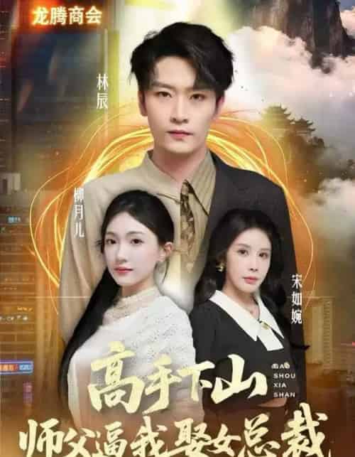 高手下山师父逼我娶女总裁（62集全）焦雪睿＆徐培淇-搜外项目网