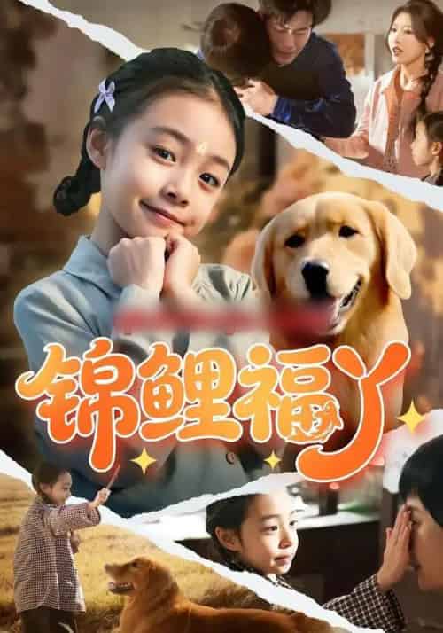 锦鲤福丫（81集全）李祖靓＆陈子豪-搜外项目网