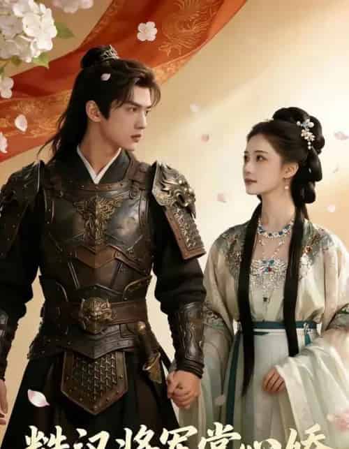 糙汉将军掌心娇（64集全）AI-搜外项目网