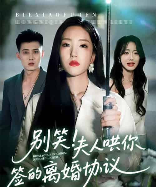 别笑夫人哄你签的离婚协议（74集）夏玄子＆黄文博-搜外项目网