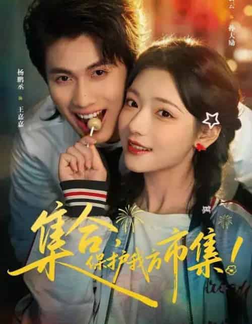 集合,保护我方市集(61集全)杨鹏丞&王云云&潘长江-搜外项目网