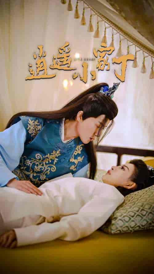 逍遥小家丁（100集）穿越剧-搜外项目网