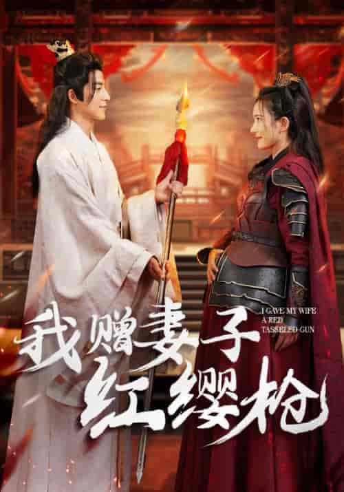 我赠妻子红缨枪（70集全）吴昊-搜外项目网