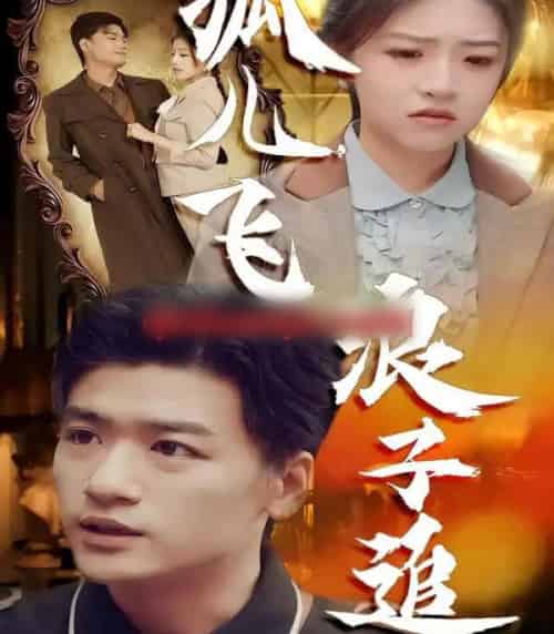 孤儿飞浪子追（61集全）孙豪＆李宣锦-搜外项目网