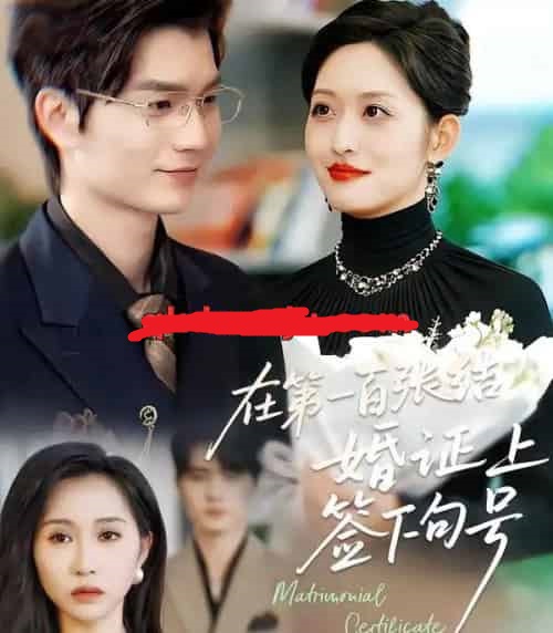 在第一百张结婚证上签下句号（50集全）黄斯琪＆张嘉松-搜外项目网