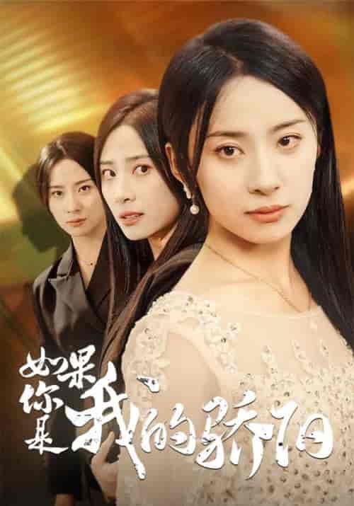 如果你是我的骄阳（30集全）杨洛仟-搜外项目网