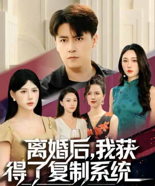 离婚后,我获得了复制系统(70集全)汤朵儿&王羿均-搜外项目网