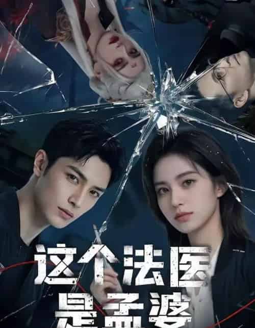 这个法医是孟婆（74集全）AI-搜外项目网
