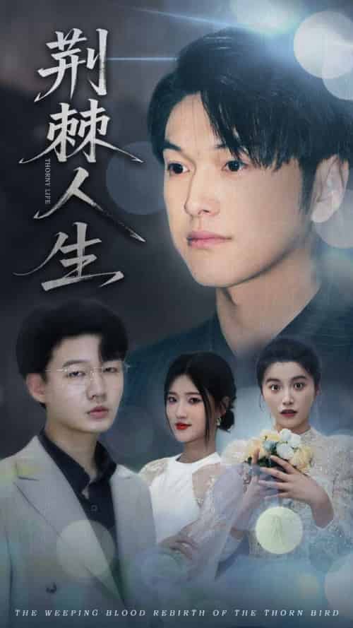 荆棘人生（74集）陈馨雨＆胥宁轲-搜外项目网