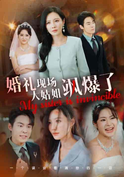 婚礼现场大姑姐飒爆了(28集全)朱哲人-搜外项目网