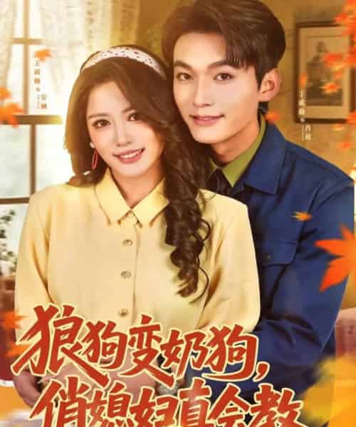 狼狗变奶狗，俏媳妇真会教（70集全）丁成勋＆王雨楠-搜外项目网