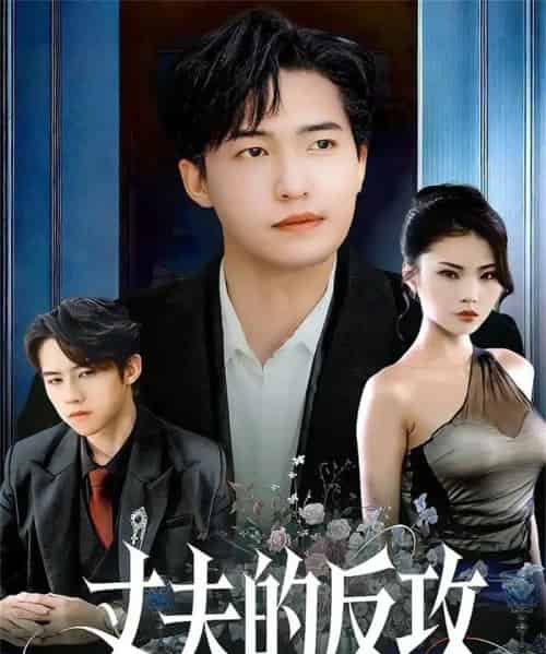 丈夫的反攻（78集全）刘小龙＆张艺轩-搜外项目网