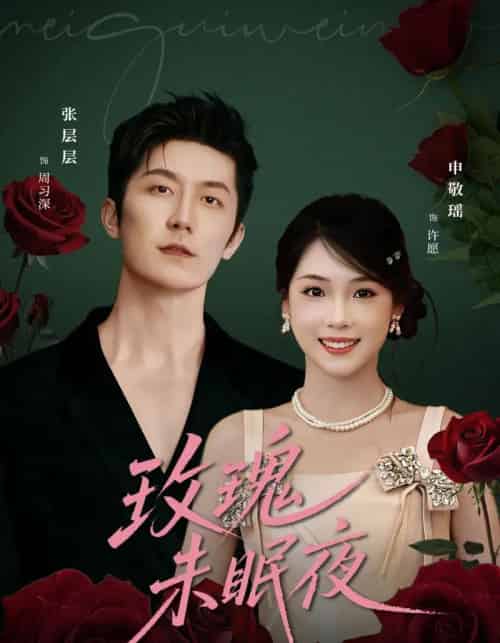玫瑰未眠夜（71集全）张层层＆申敬瑶-搜外项目网