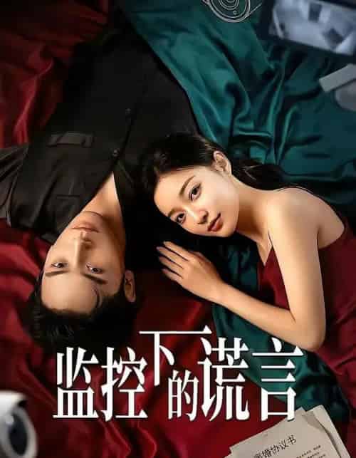 监控下的谎言（50集全）AI-搜外项目网