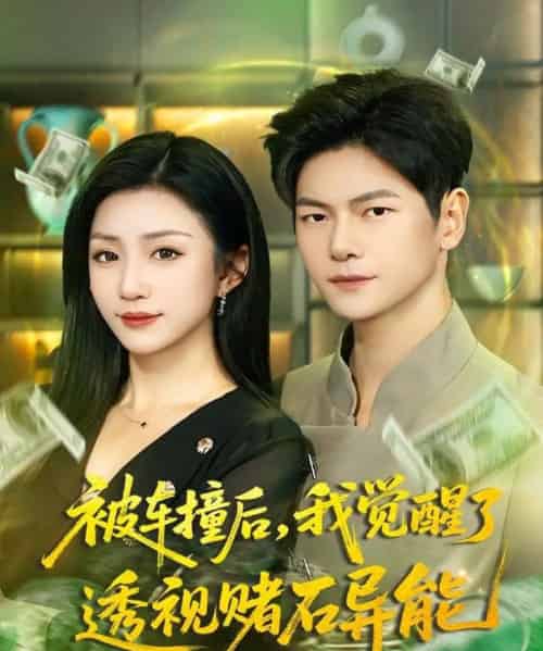 被车撞后，我觉醒了透视赌石异能（81集全）刘瀚阳＆孙同钰-搜外项目网