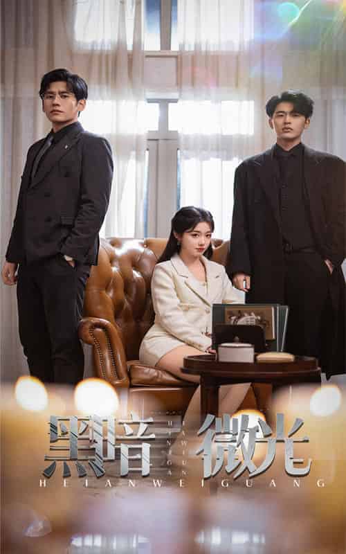 黑暗微光(66集全)墨凝-搜外项目网