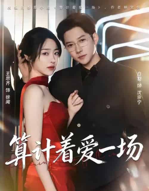 算计着爱一场（81集全）白羽＆王思齐-搜外项目网