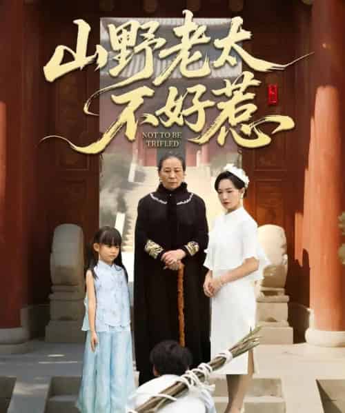 山野老太不好惹＆奶奶一脚震全城（64集全）徐绍航-搜外项目网