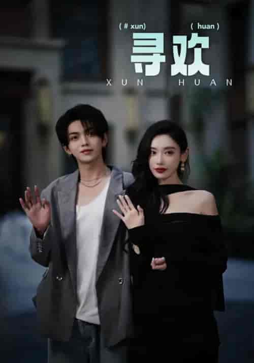 寻欢（52集全）叶皓然-搜外项目网