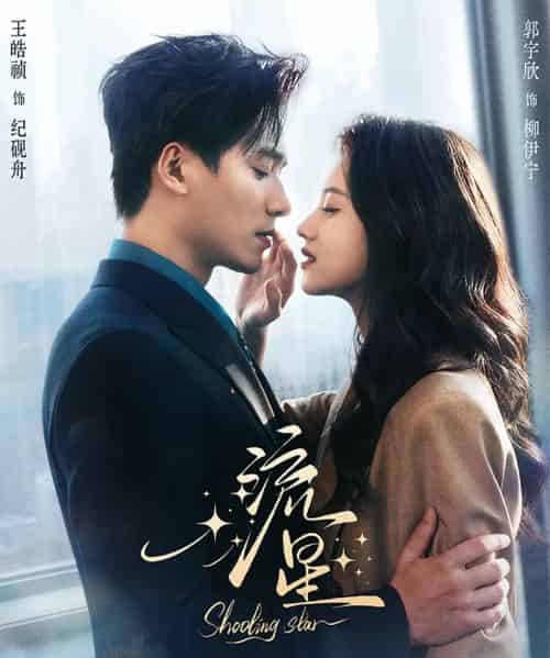 流星（77集全）郭宇欣＆王皓祯-搜外项目网