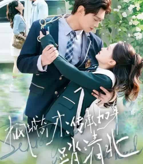 枫城奇才：传承加身踏清北（80集全）俞玟霞＆杨紫皓-搜外项目网