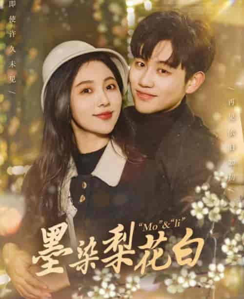 墨染梨花白（86集）白方文-搜外项目网