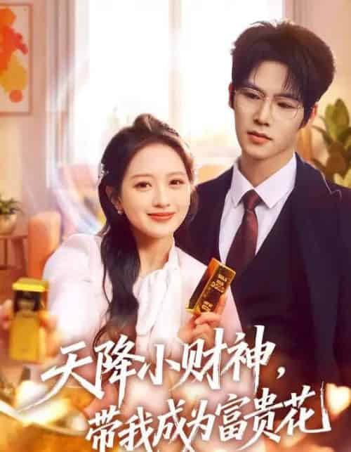 天降小财神，带我成为富贵花（71集全）刘萌＆于颢鑫-搜外项目网