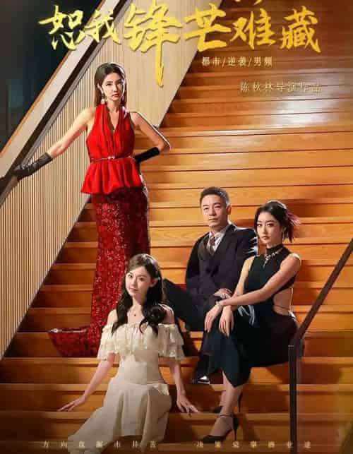 人到中年，恕我锋芒难藏（89集全）刘安歌＆高子怡-搜外项目网