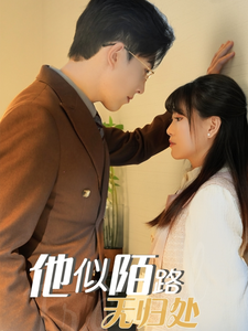 他似陌路无归处（30集全）赵宏伟＆胡雪艺-搜外项目网