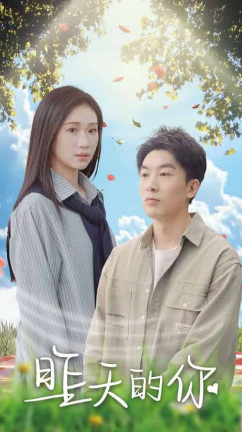 昨天的你（15集全）张予湉＆吴明宇-搜外项目网