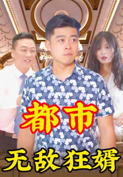 都市无敌狂婿（115集全）林一龙＆程映雪-搜外项目网