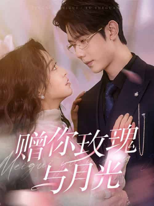 赠你玫瑰与月光（68集全）何连飞＆杨佳佳-搜外项目网