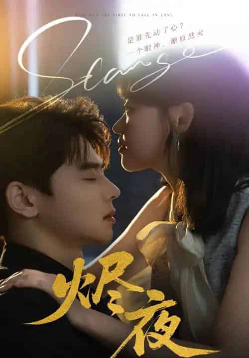 烬夜（58集）尹一博＆龚芳妮-搜外项目网