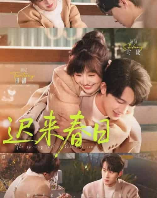 迟来春日（84集全）时康＆田甜一-搜外项目网