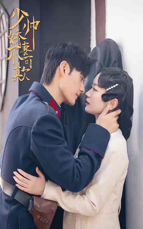 少帅娇妻不可欺 99集-搜外项目网