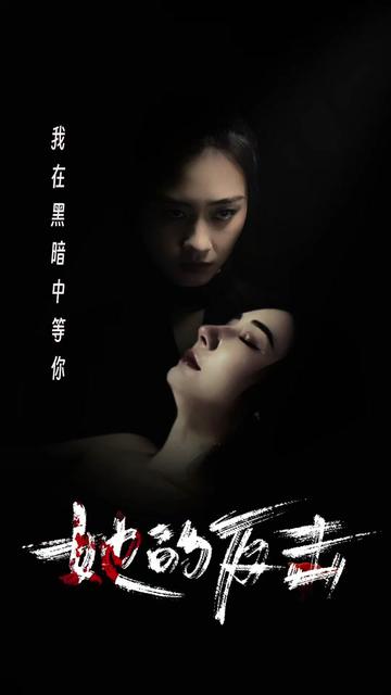 她的反击(74集)-搜外项目网