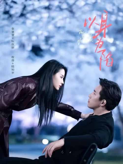 以身为陷（80集全）程澄＆张楚萱-搜外项目网