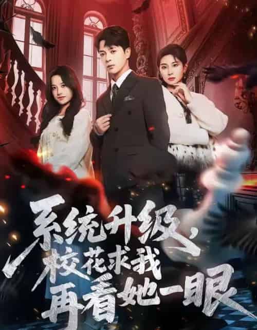 系统升级，校花求我再看她一眼（62集全）史宣洪＆朱磊＆张凝慈-搜外项目网