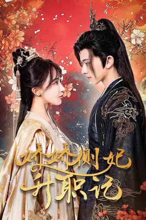 娇娇侧妃升职记(49集全)房蕾-搜外项目网