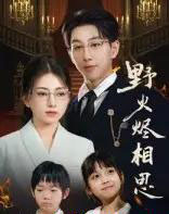 野火烬相思(61集全)戴睿-搜外项目网