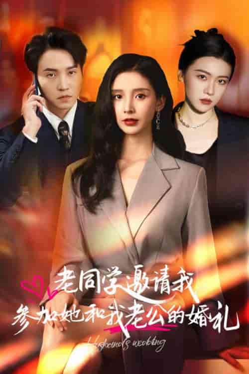 老同学邀请我参加她和我老公的婚礼（33集全）-搜外项目网