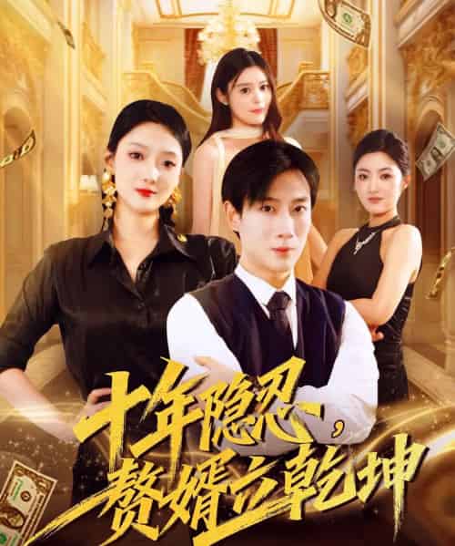 十年隐忍赘婿立乾坤(80集全)安安&杨杰-搜外项目网