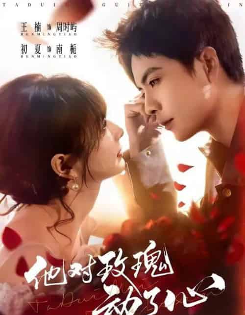 他对玫瑰动了心（68集全）王楠＆初夏-搜外项目网