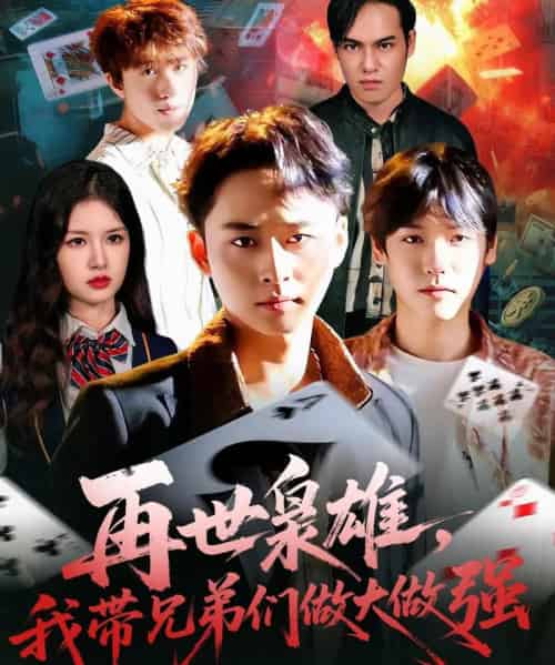 再世枭雄我带兄弟们做大做强(107集全)卢艺煊&程新茸-搜外项目网