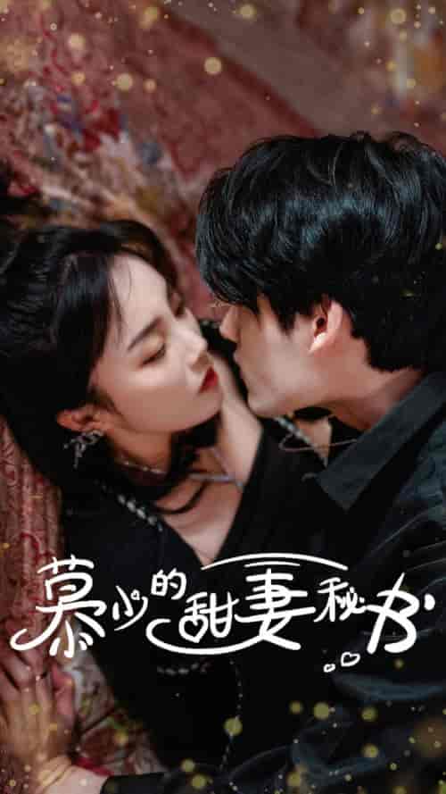 慕少的甜妻秘书（100集）郭美林子-搜外项目网