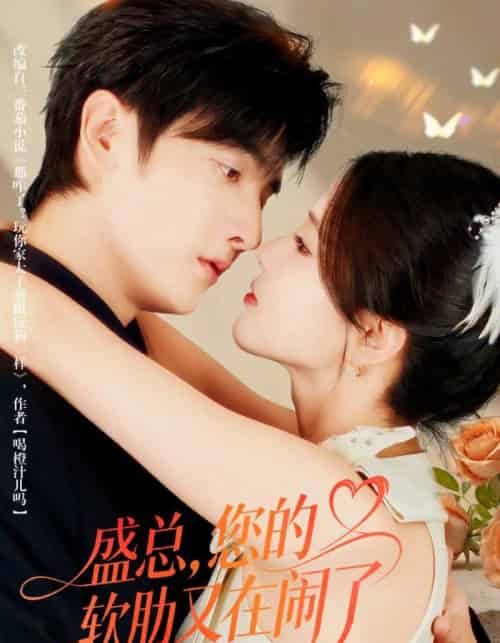 盛总，您的软肋又在闹了（80集全）林潇＆张许焓-搜外项目网