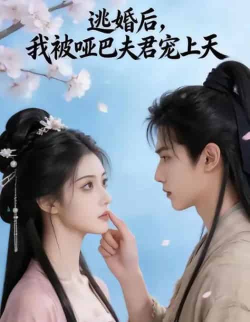 逃婚后，我被哑巴夫君宠上天（61集全）AI-搜外项目网