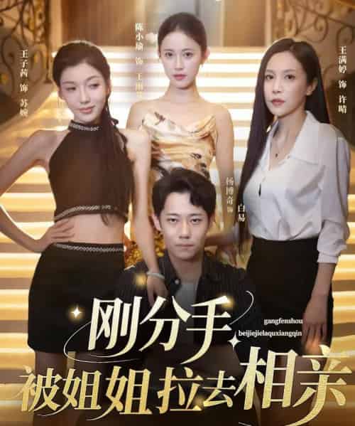 刚分手被姐姐拉去相亲＆分手被姐姐拉去相亲（73集）王子茜＆陈小瑜＆王满婷-搜外项目网