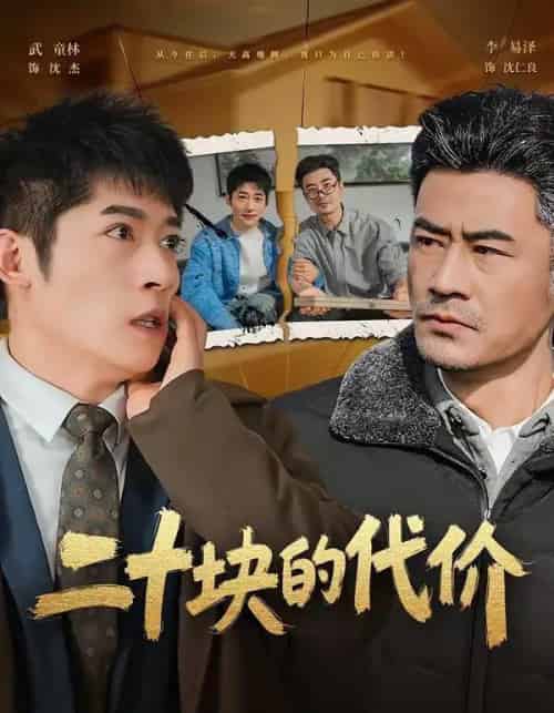 二十块的代价（64集全）李易泽＆陈旭-搜外项目网