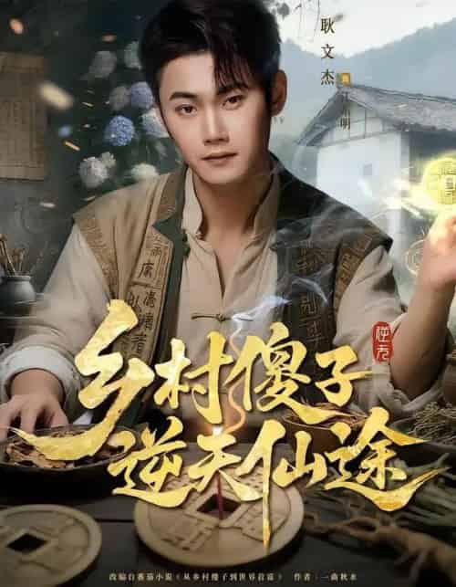 乡村傻子逆天仙途（80集全）耿文杰＆雨润-搜外项目网